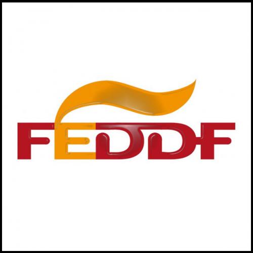 NOMBRAMIENTO DE LOS MIEMBROS DE LOS ÓRGANOS DE DISCIPLINA DEPORTIVA DE LA FEDDF