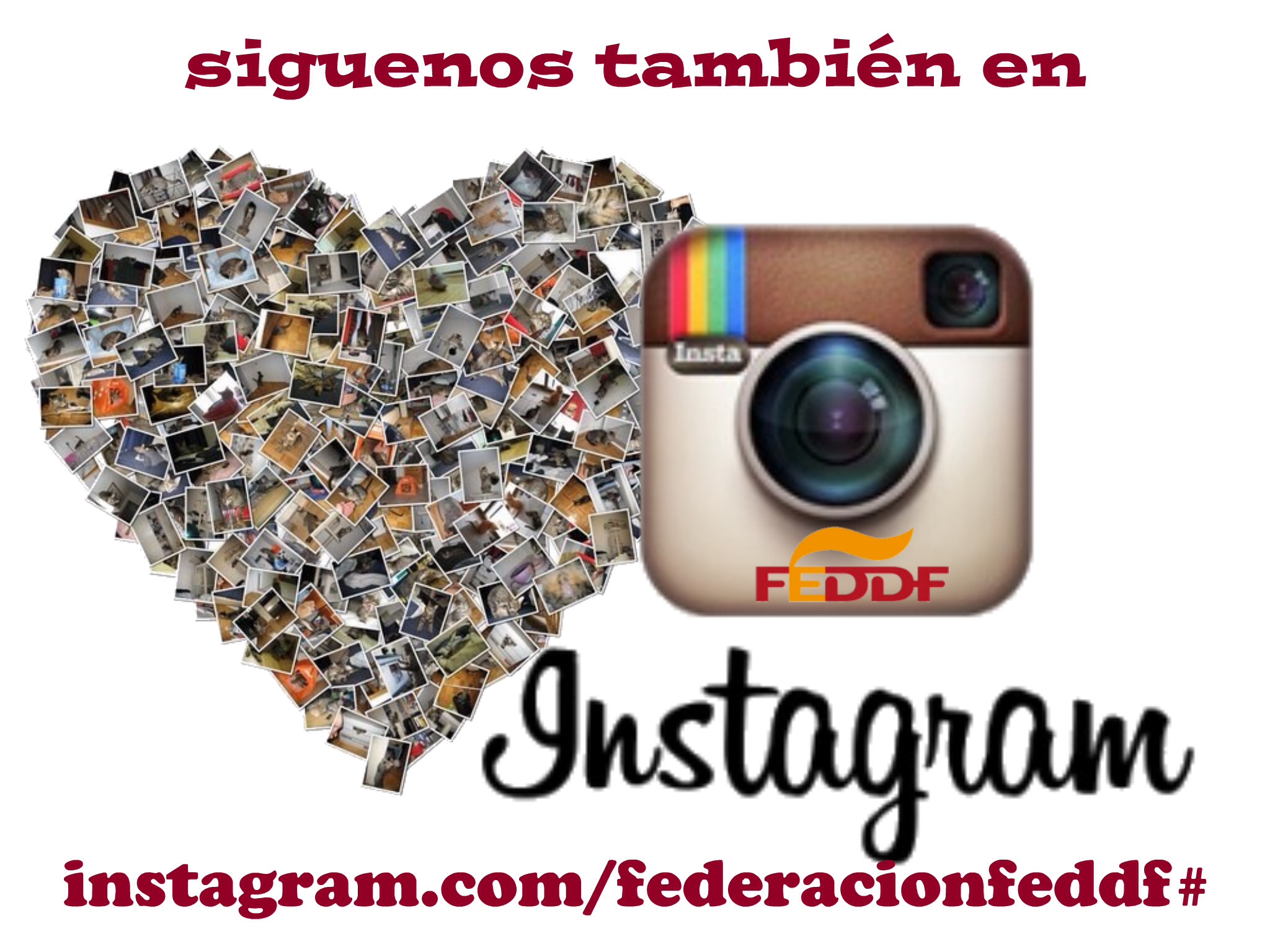 INSTAGRAM Y GOOGLE + SE UNEN A LOS SOPORTES DE DIFUSIÓN QUE ACTUALMENTE DISPONE LA FEDERACIÓN ESPAÑOLA DE DEPORTES DE PERSONAS CON DISCAPACIDAD FÍSICA.