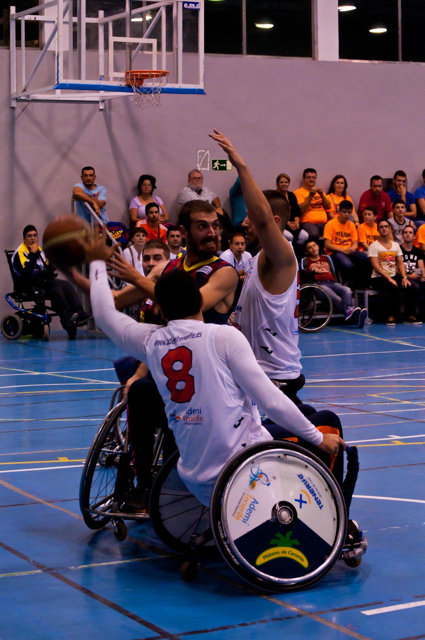 PREVIA - SIFU CEM CB HOSPITALET vs CLUB ADEMI TENERIFE