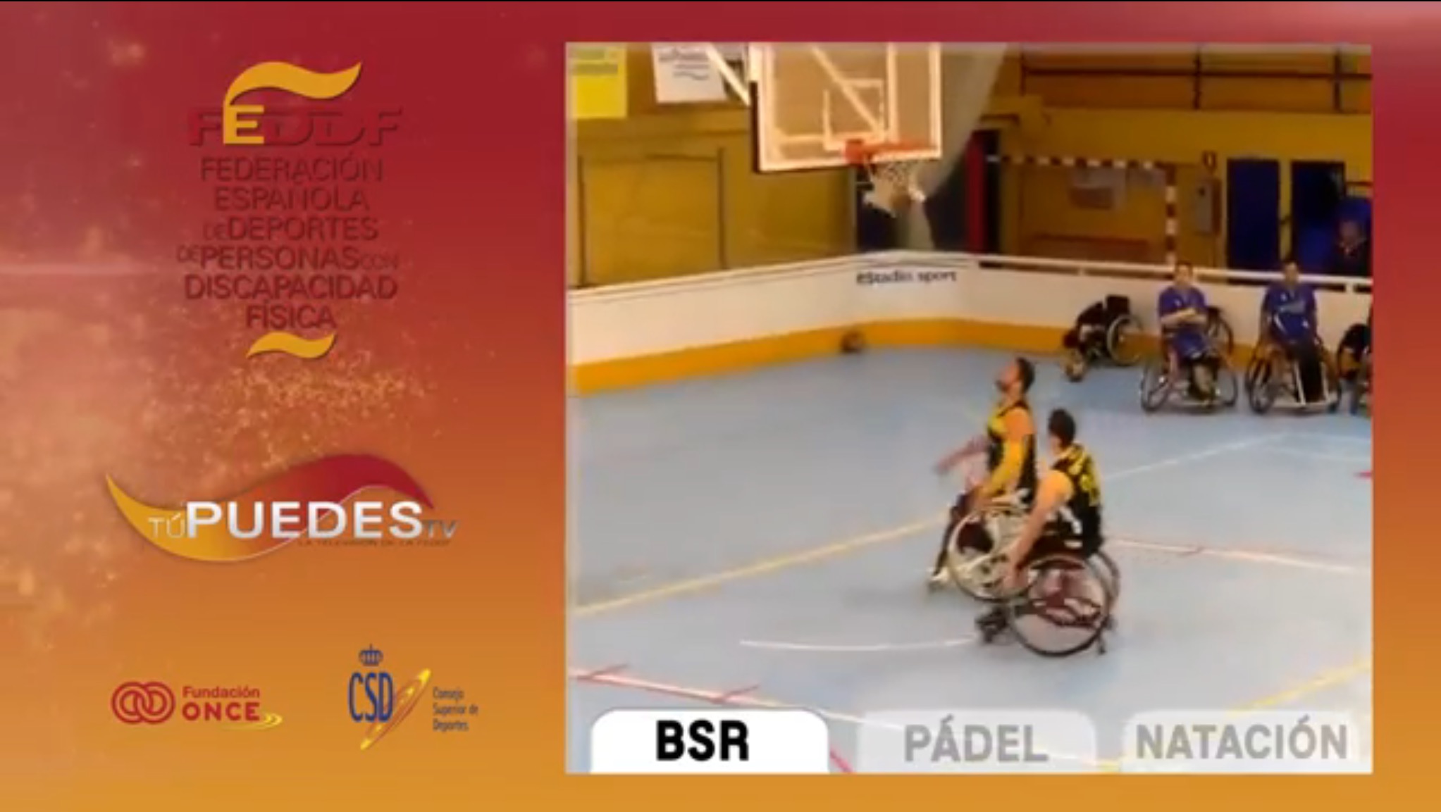 Natación, Baloncesto S.R. y Padel S.R. son los grandes protagonistas del Magazine 71 TuPuedesTV