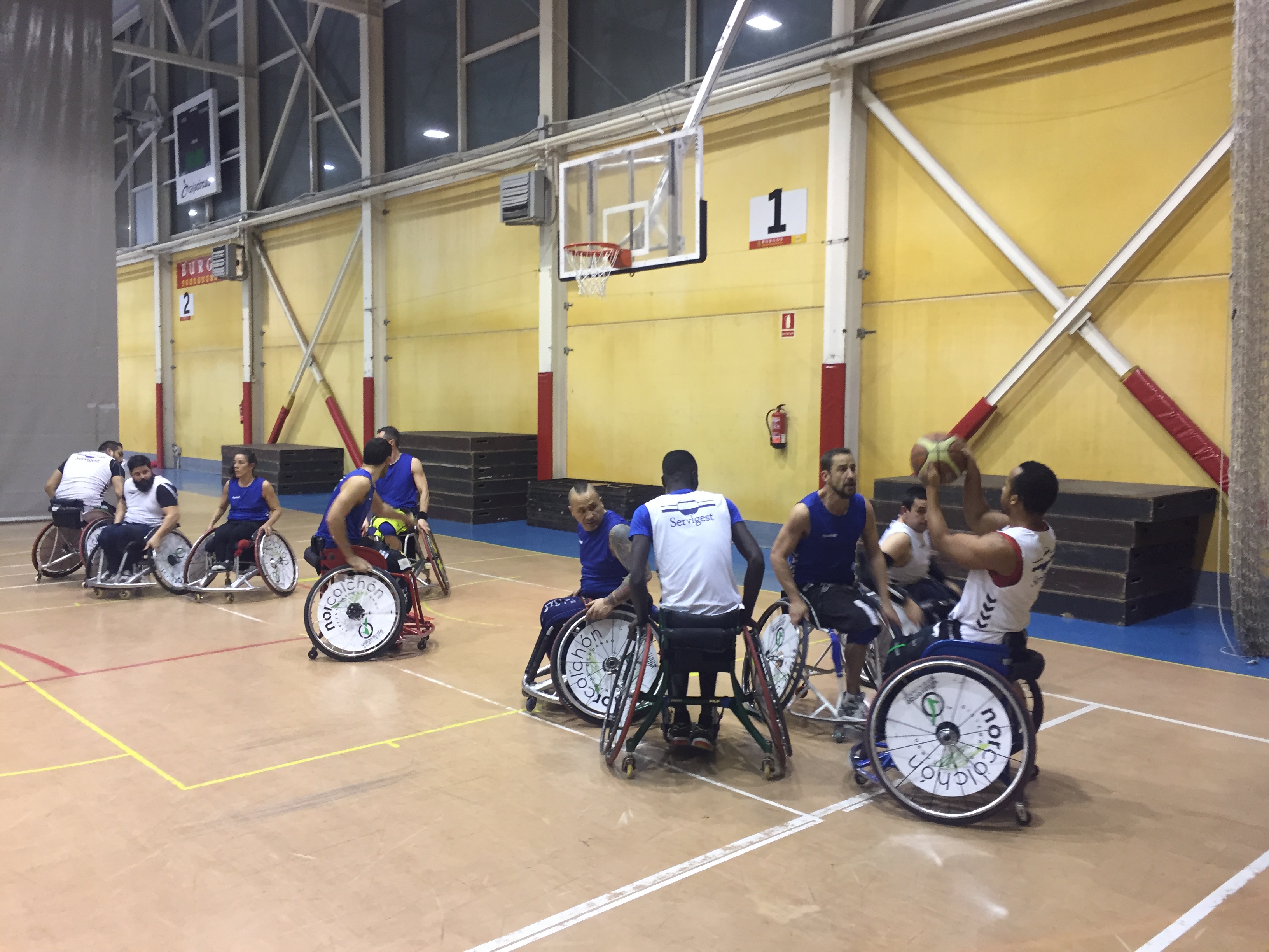 Liga BSR - 1a. DIV. (previa Servigest): Servigest cierra el año viajando a Sabadell